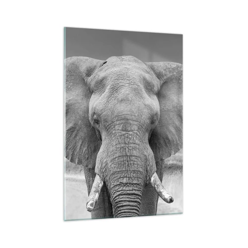 Glasbild - Bild auf glas - Porträt eines Elefanten in Schwarz und Weiß - 70x100cm - Willkommen in meiner Welt - Moderne Wanddekoration für Wohnzimmer und Schlafzimmer ARTTOR