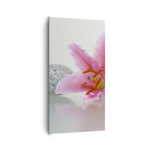 Bild auf Leinwand - Leinwandbild - Eine Studie in Pink, Grau und Weiß - 65x120 cm