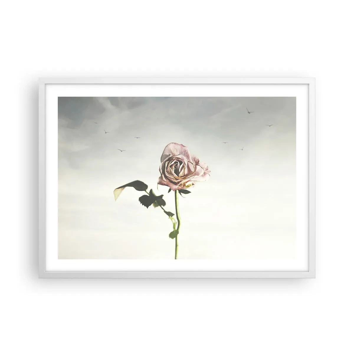 Poster in einem weißen Rahmen - Begrüßung des Frühlings - 70x50 cm