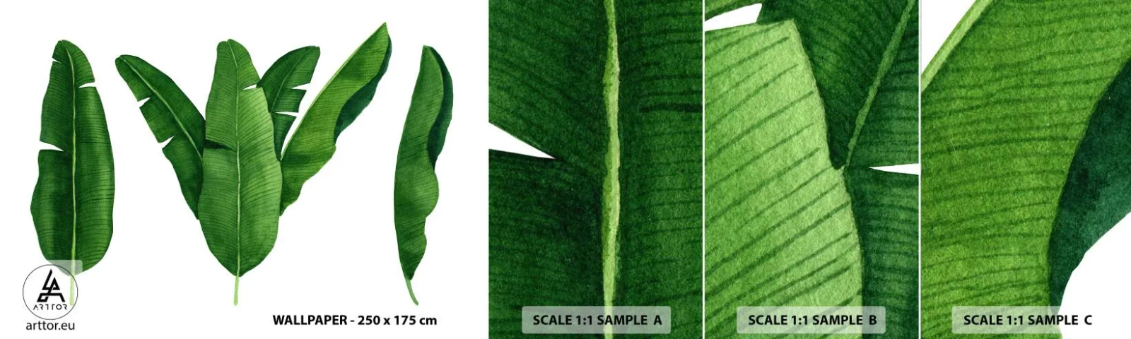 Fototapeten Muster Selbstklebend Deluxe Sticker - Grüne Symmetrie - Bananenblatt, Tropisch, Botanischer Stil - 100x30 cm