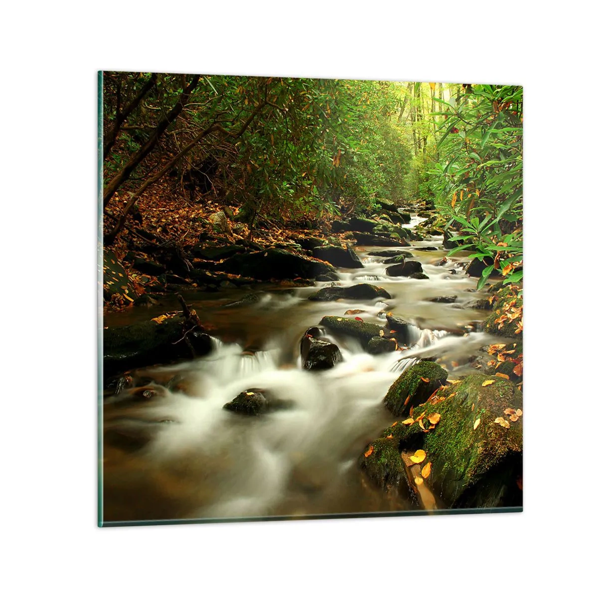 Glasbild - Bild auf glas - Wie flüssiges Silber - 50x50 cm