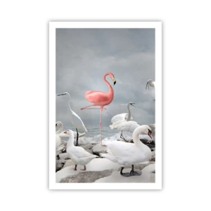 Poster - Wie kam ich hier hin? - 61x91 cm