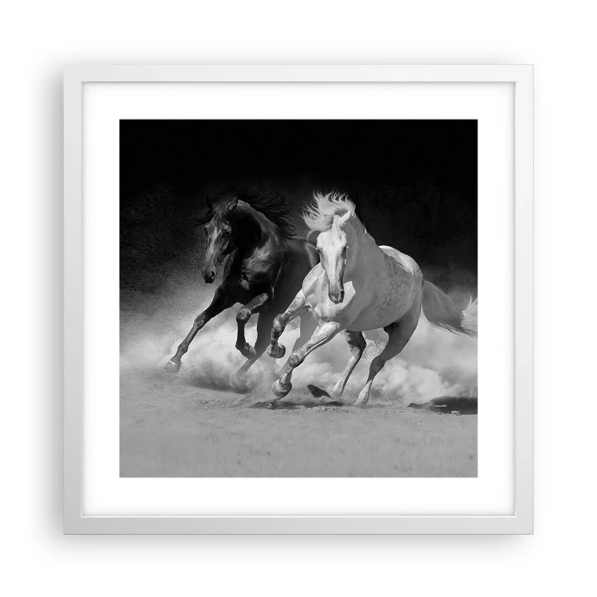 Poster in einem weißen Rahmen - Galopp der Freiheit - 40x40 cm