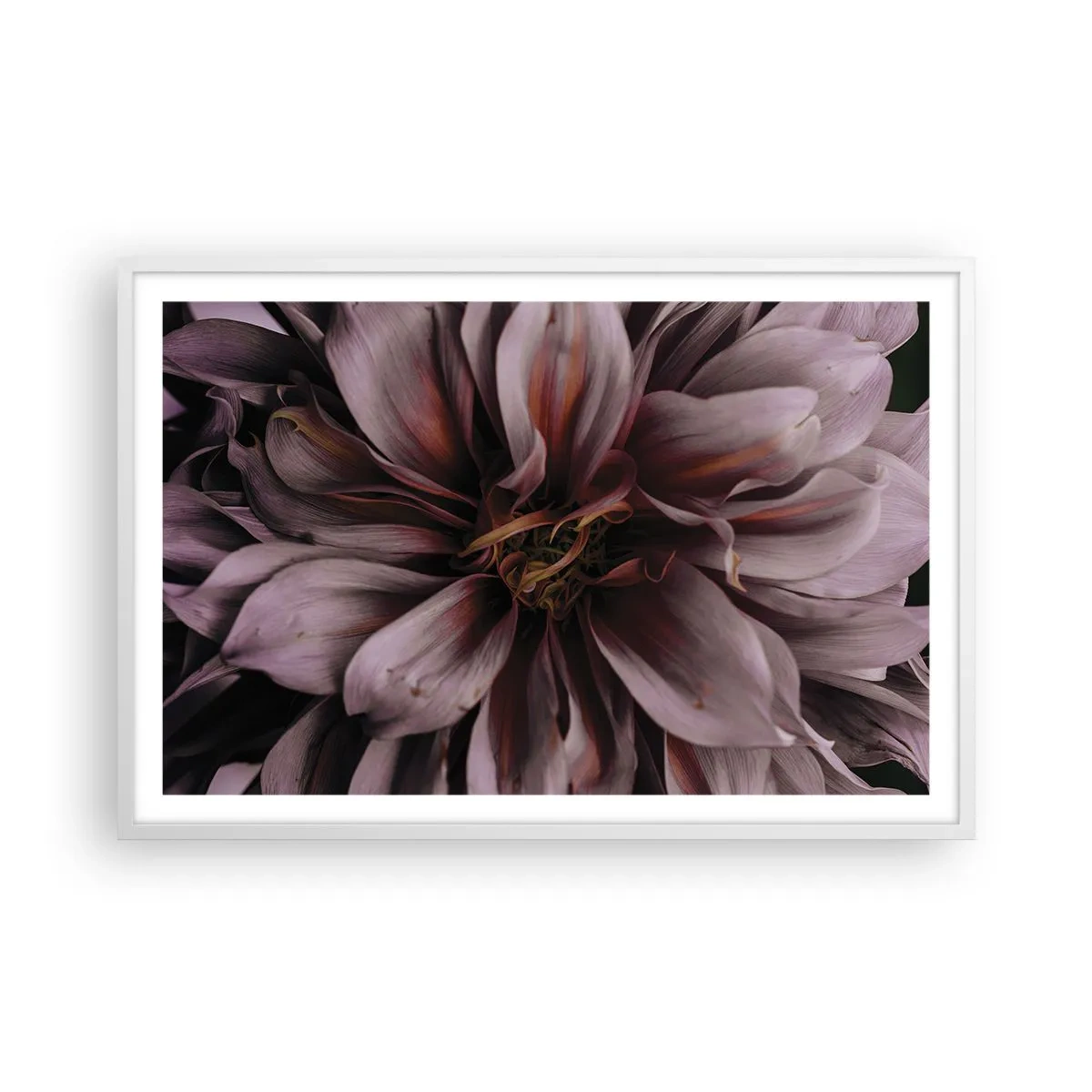 Poster in einem weißen Rahmen - Ein Blumenherz - 91x61 cm