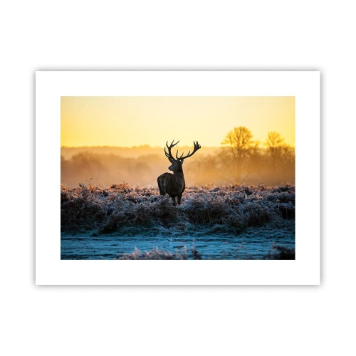 Poster - Gekrönt auf seinem Besitz - 40x30 cm