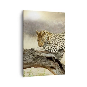 Bild auf Leinwand - Leinwandbild - Ein Leopard ruht auf einem Baumstamm in der Savanne - 50x70cm - Ich gehe meine eigenen Wege - Moderne Wanddekoration für Wohnzimmer und Schlafzimmer ARTTOR
