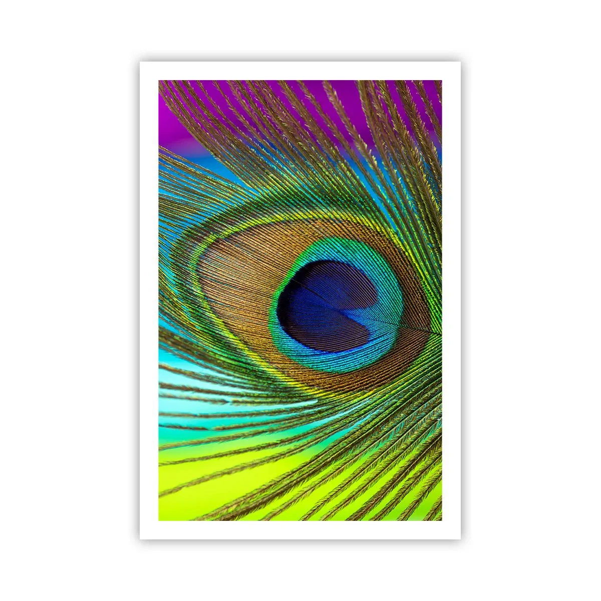 Poster - Auge in Auge - 61x91 cm