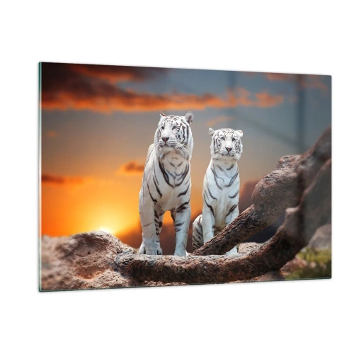 Glasbild - Bild auf glas - Weiße Tiger vor der untergehenden Sonne - 120x80cm - Genau wie Narnia - Moderne Wanddekoration für Wohnzimmer und Schlafzimmer ARTTOR
