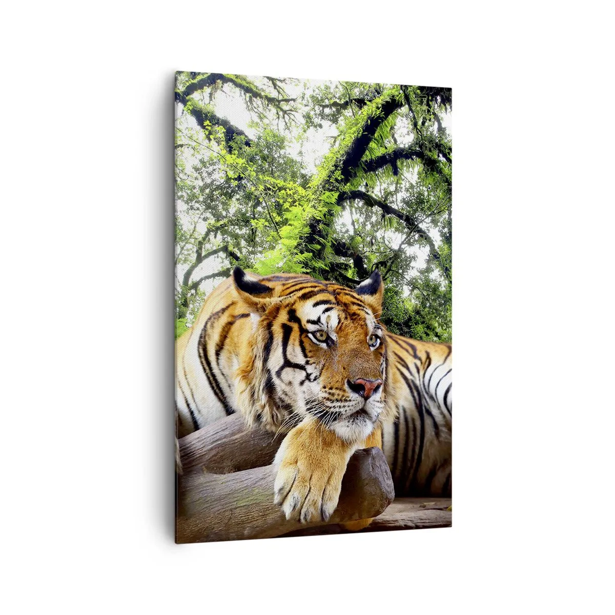 Bild auf Leinwand - Leinwandbild - Ein Tiger ruht in einem tropischen Wald - 80x120cm - Hochachtungsvoll - Moderne Wanddekoration für Wohnzimmer und Schlafzimmer ARTTOR