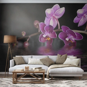 Fototapete Standard Eco - Lila Orchideen über einer Wasseroberfläche auf schwarzem Hintergrund - 100x70cm - Lila Spiegelbild der Schönheit - Moderne Wanddekoration für Wohnzimmer und Schlafzimmer ARTTOR