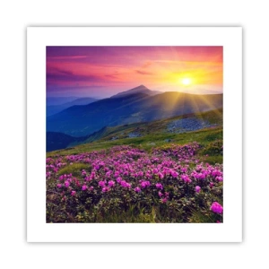 Poster - … Und drumherum duftet es nach Latschenkiefer und dem Duft von Kräutern - 40x40 cm