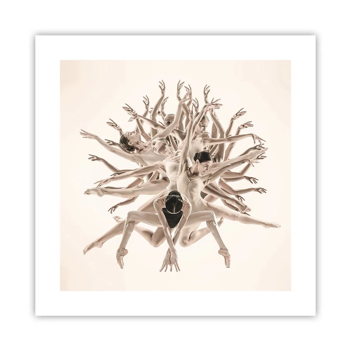 Poster - Aufblühen im Tanz - 40x40 cm