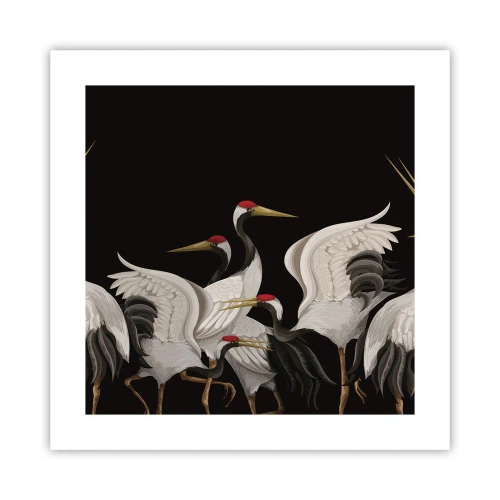 Poster - Vogelsachen - 40x40 cm