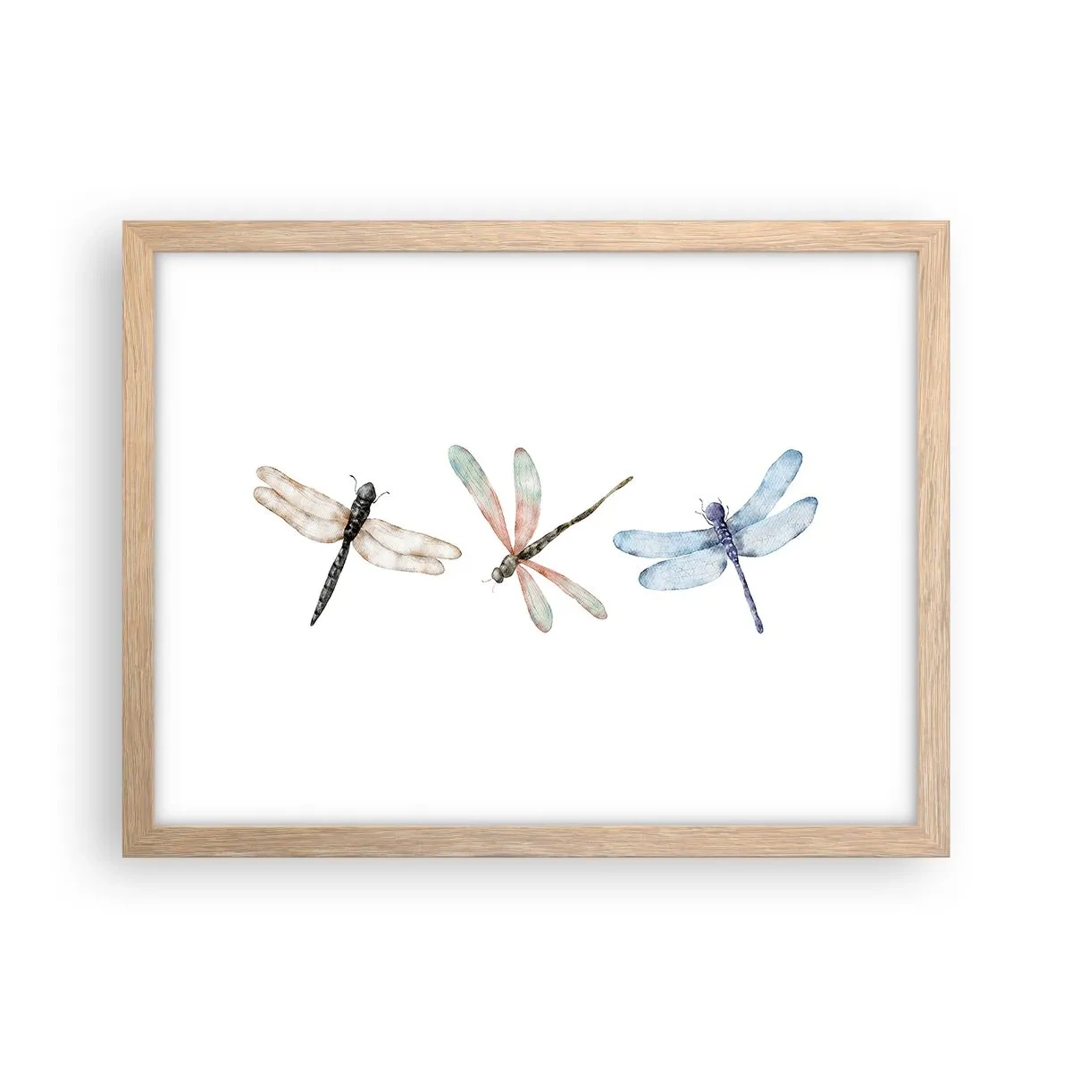 Poster in einem Rahmen aus heller Eiche - Schwerelose Libellen - 40x30 cm