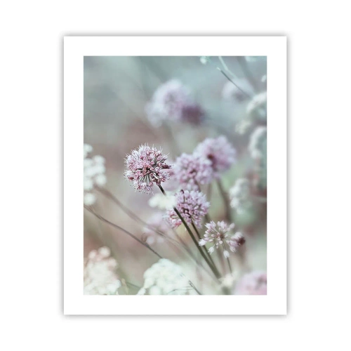 Poster - Süße filigrane Kräuter - 40x50 cm