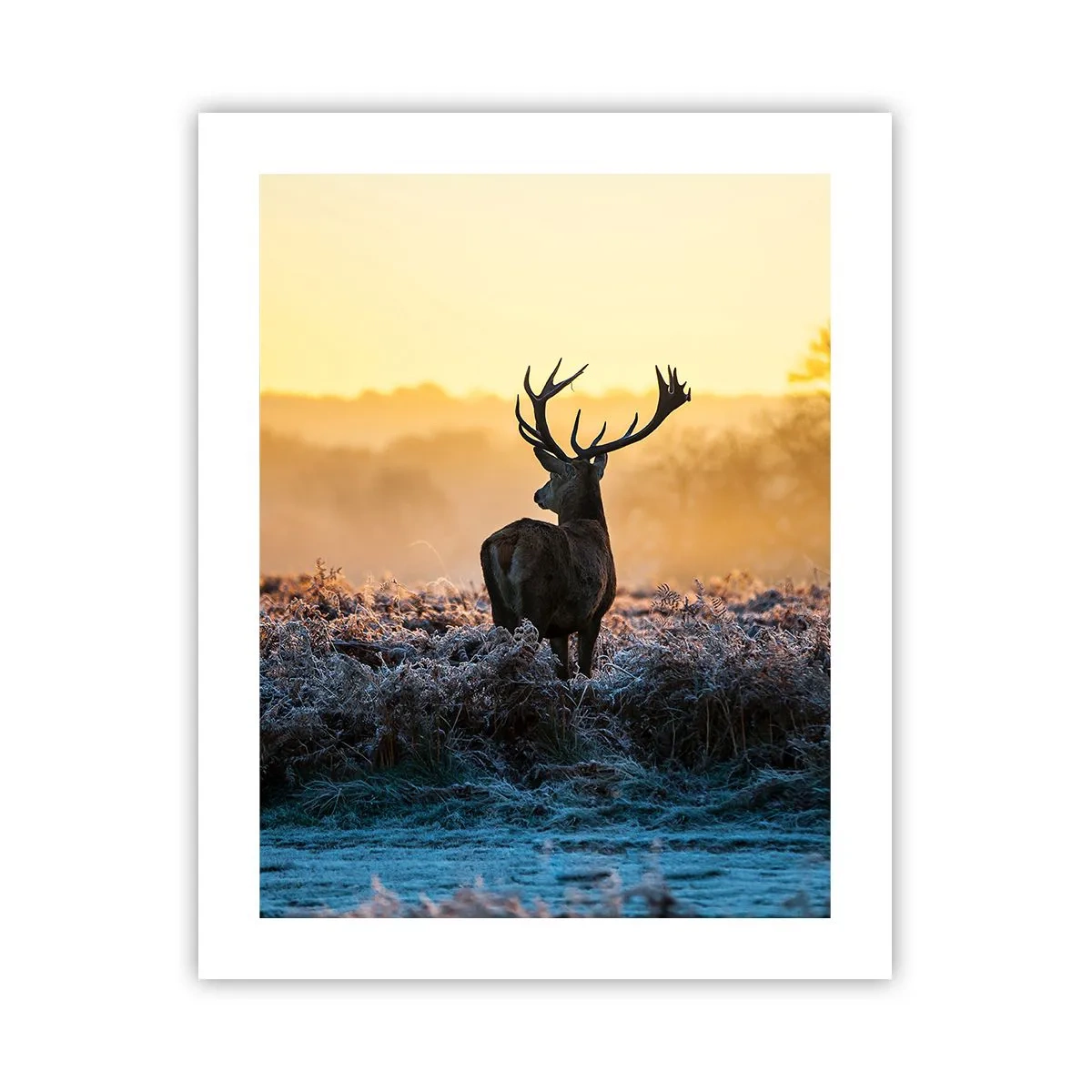 Poster - Gekrönt auf seinem Besitz - 40x50 cm