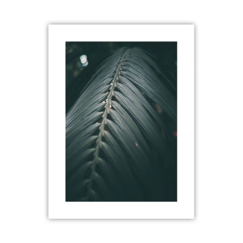 Poster - Die Präzision der Natur - 30x40 cm