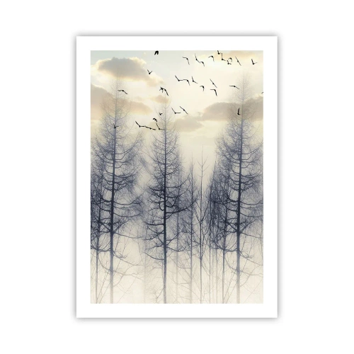 Poster - Ein nebliger Wald mit hohen Bäumen und fliegenden Vögeln am Morgen - 50x70cm - Waldgeister - Moderne Wanddekoration für Wohnzimmer und Schlafzimmer ARTTOR