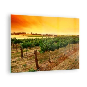 Glasbild - Bild auf glas - Weinreben im warmen Licht der untergehenden Sonne - 70x50cm - Holen Sie sich einen Drink von der Sonne - Moderne Wanddekoration für Wohnzimmer und Schlafzimmer ARTTOR