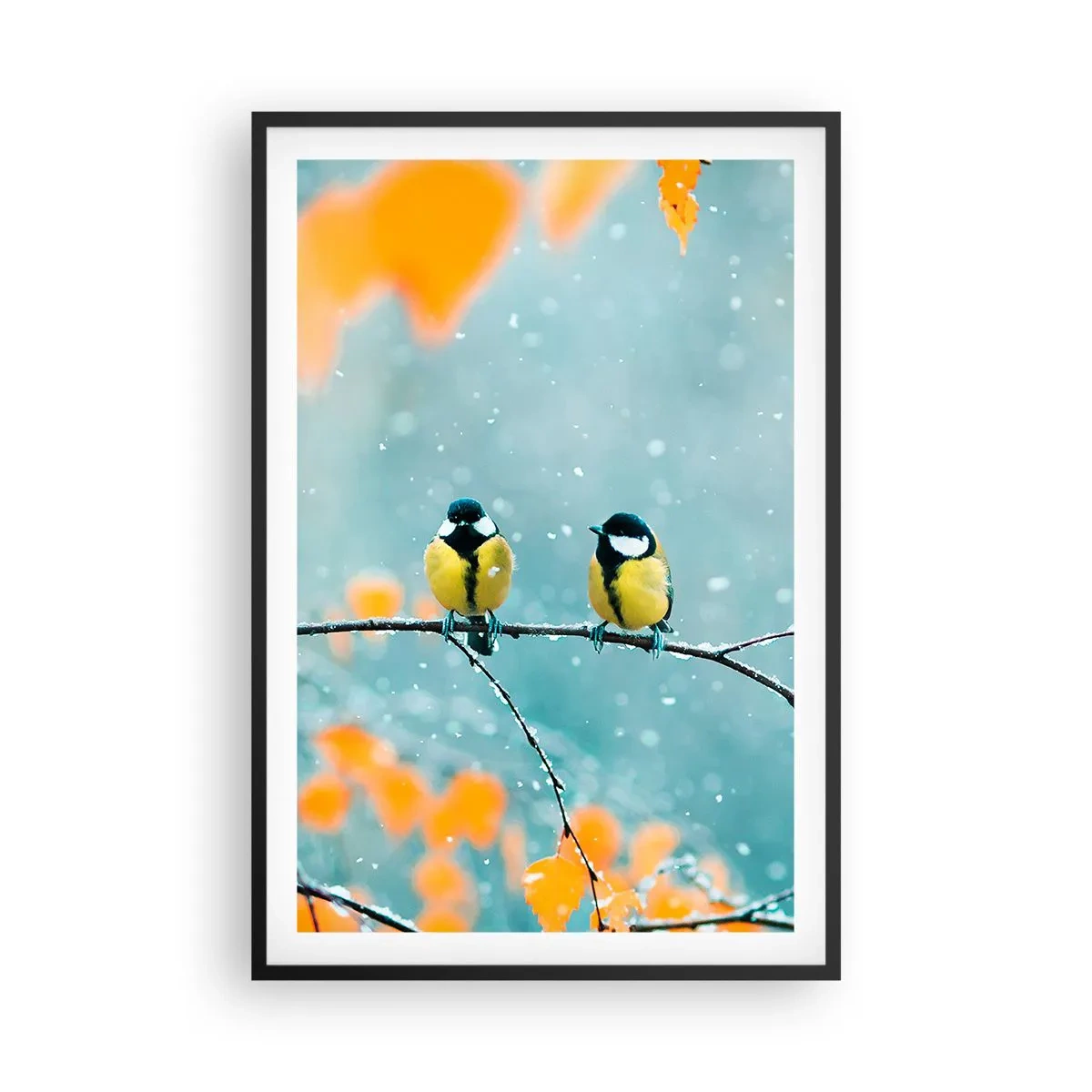 Poster in einem schwarzem Rahmen - Vogelklatsch - 61x91 cm