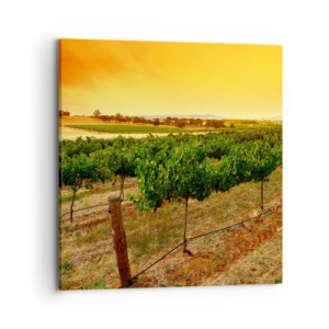 Bild auf Leinwand - Leinwandbild - Holen Sie sich einen Drink von der Sonne - 70x70 cm