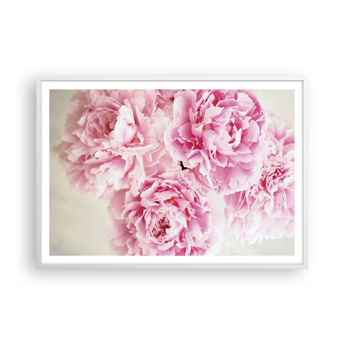 Poster in einem weißen Rahmen - In rosa Glamour - 100x70 cm