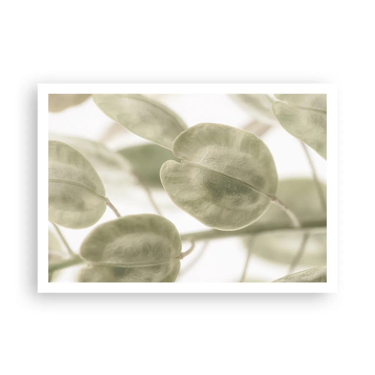 Poster - Ein zartes Gemälde von Blättern in pastellfarbenen Grüntönen auf hellem Hintergrund. - 100x70cm - Am Anfang waren Blätter... - Moderne Wanddekoration für Wohnzimmer und Schlafzimmer ARTTOR