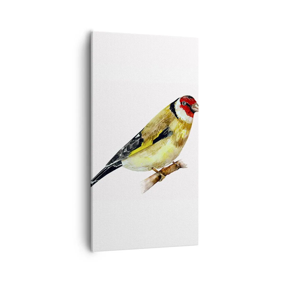 Bild auf Leinwand - Leinwandbild - Vogelporträt - 55x100 cm