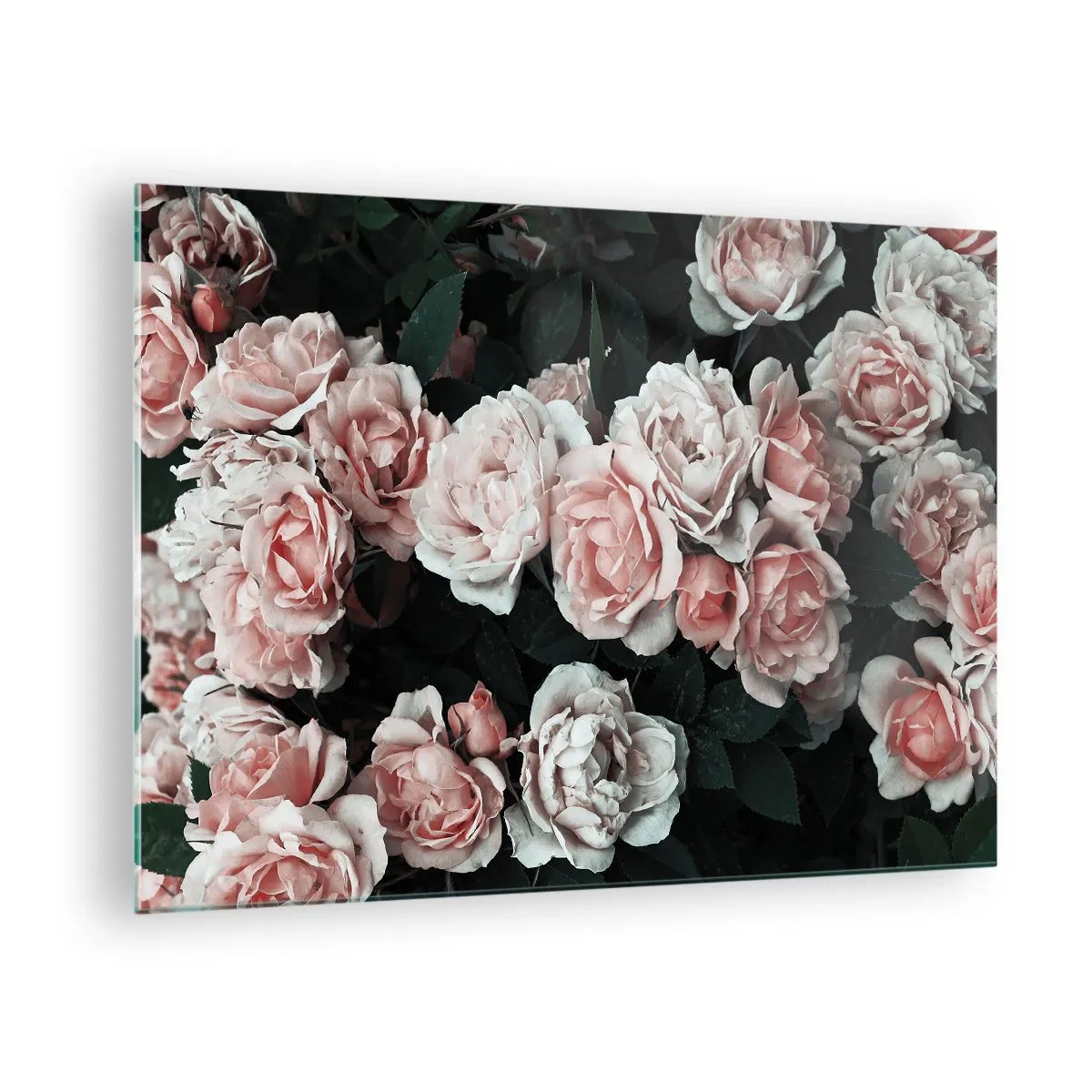 Glasbild - Bild auf glas - Eine Nahaufnahme eines Straußes rosa Rosen auf dunklem Hintergrund - 70x50cm - Rosen-Ensemble - Moderne Wanddekoration für Wohnzimmer und Schlafzimmer ARTTOR