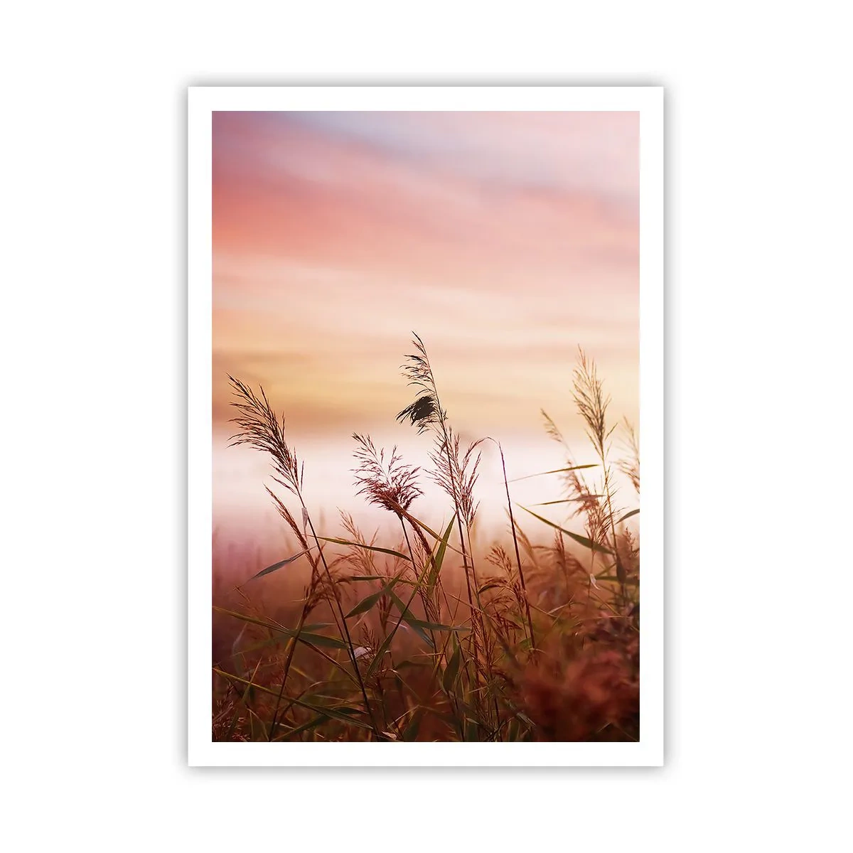 Poster - Drachen, Löwenzahn, Wind - 70x100 cm