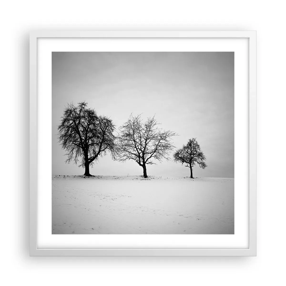 Poster in einem weißen Rahmen - Wovon träumen sie? - 50x50 cm