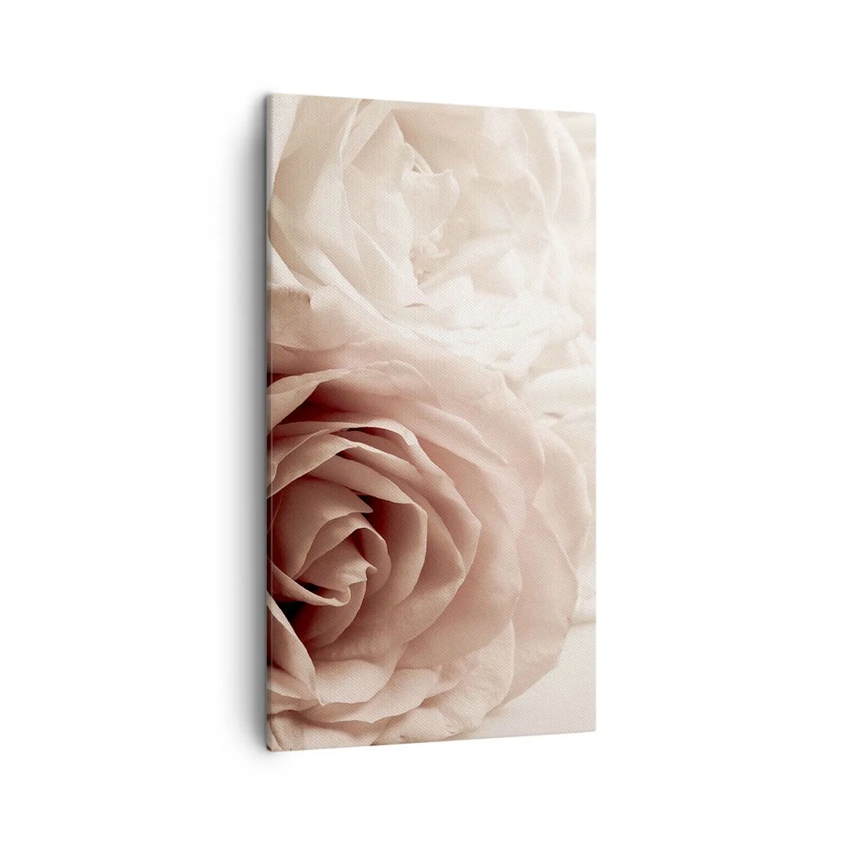 Bild auf Leinwand - Leinwandbild - Im Herzen der Rose - 45x80 cm