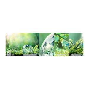 Fototapetenmuster Standard Eco - Der grüne Planet - Abstraktion, Farn, Natur - 100x30 cm
