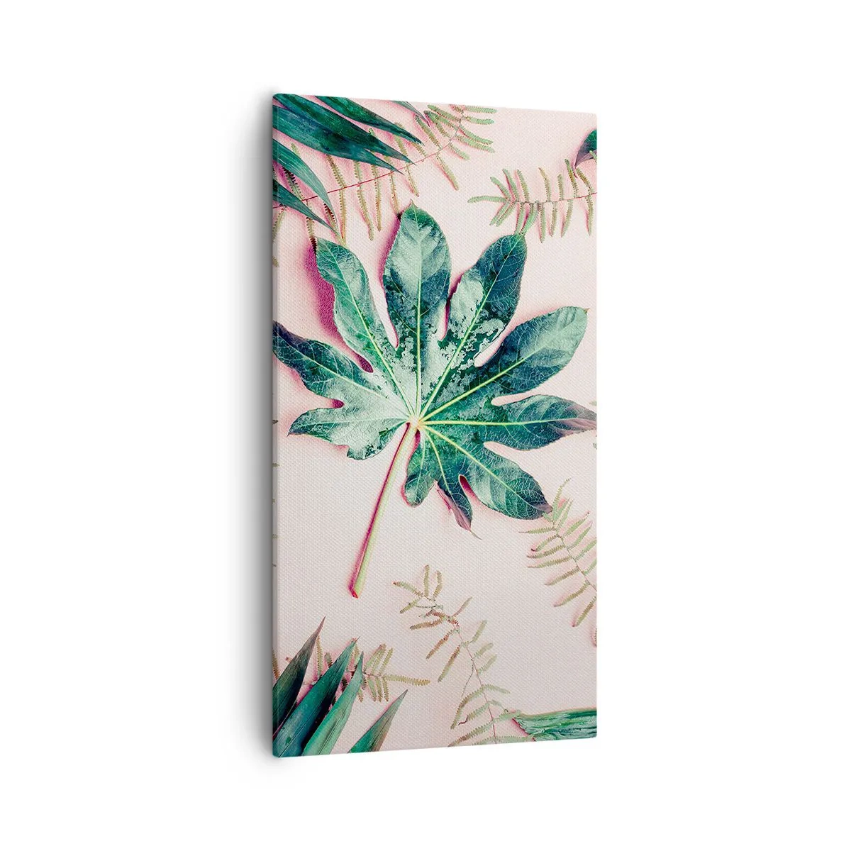 Bild auf Leinwand - Leinwandbild - Eine Studie von Grün auf einem rosa Hintergrund - 55x100 cm