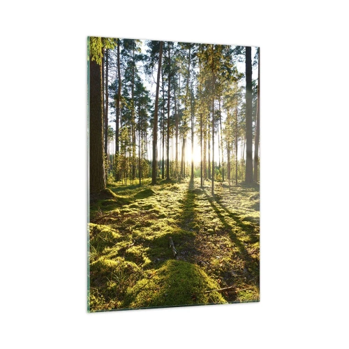 Glasbild - Bild auf glas - Sonnenstrahlen dringen durch die Bäume im Wald - 50x70cm - … Hinter den sieben Wäldern - Moderne Wanddekoration für Wohnzimmer und Schlafzimmer ARTTOR