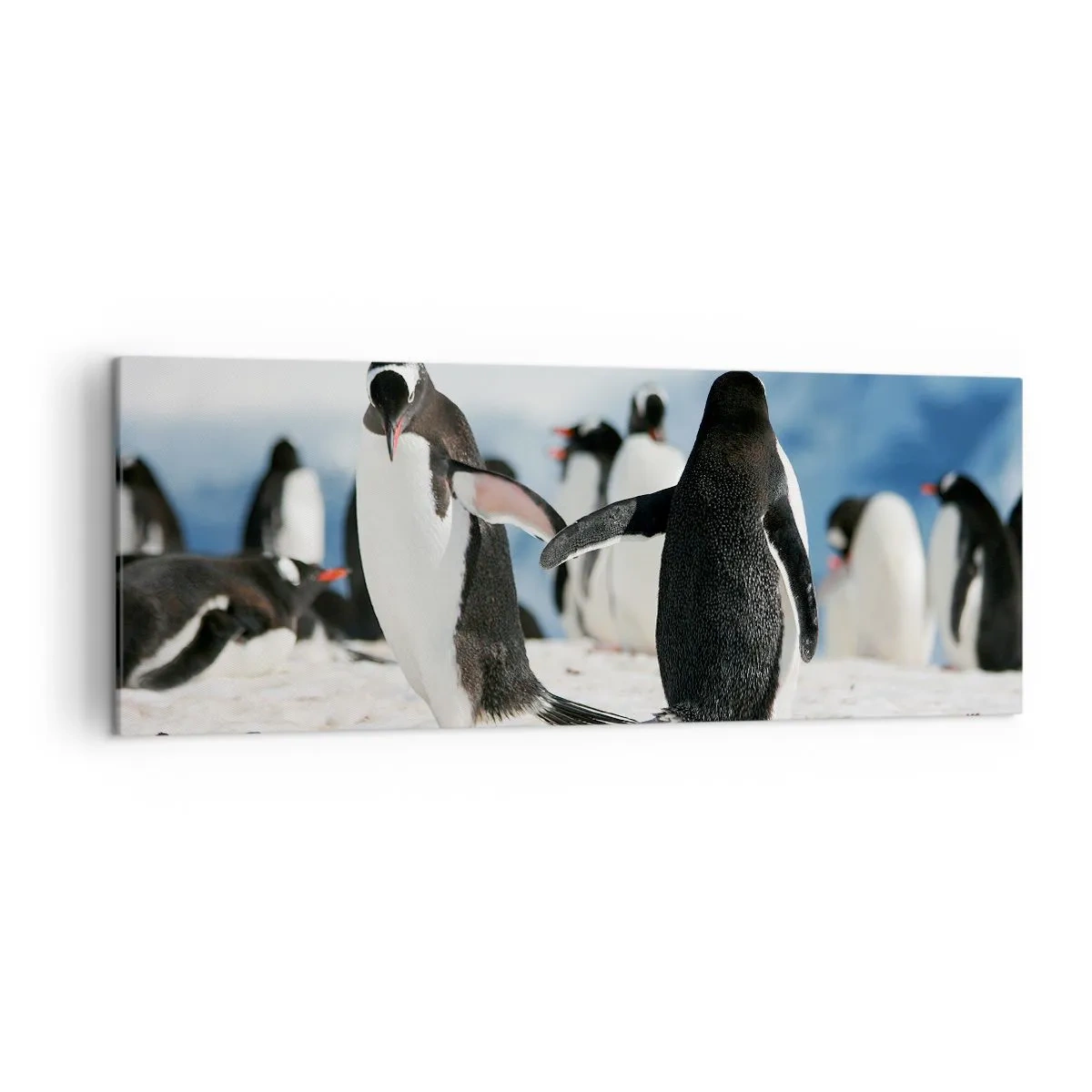 Bild auf Leinwand - Leinwandbild - Eine Gruppe Pinguine im Schnee in einer antarktischen Landschaft - 140x50cm - Tanzen im Schnee - Moderne Wanddekoration für Wohnzimmer und Schlafzimmer ARTTOR