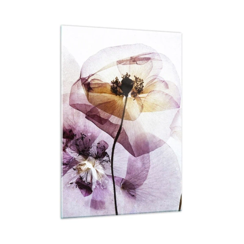 Glasbild - Bild auf glas - Zarte Blüten in transparenten Pastellfarben auf hellem Untergrund - 50x70cm - Transparente Körperblumen - Moderne Wanddekoration für Wohnzimmer und Schlafzimmer ARTTOR