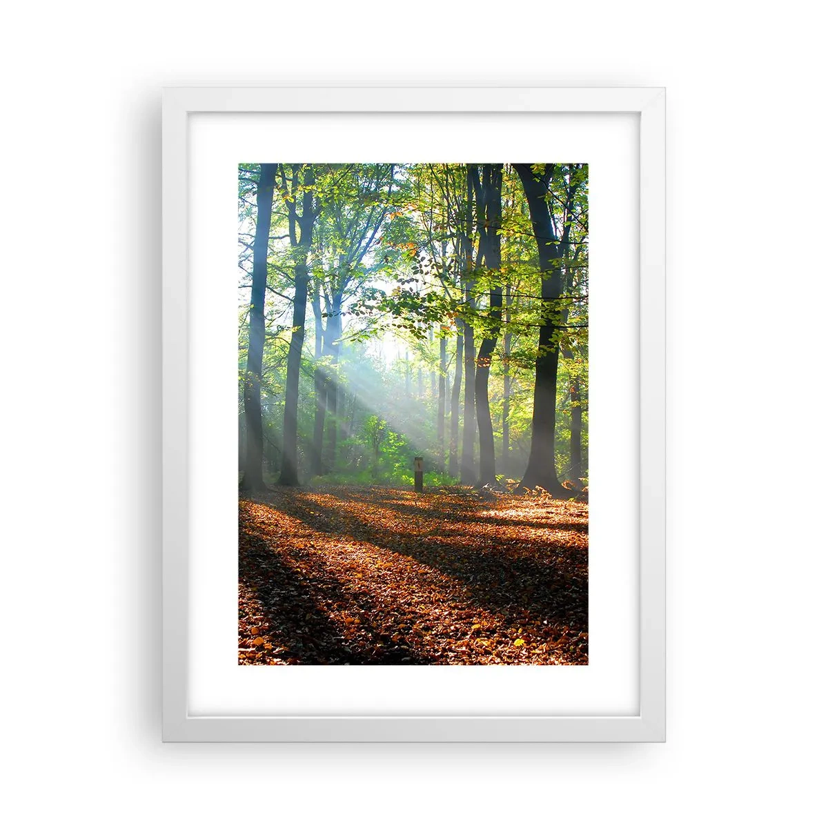 Poster in einem weißen Rahmen - Licht und Schatten - 30x40 cm