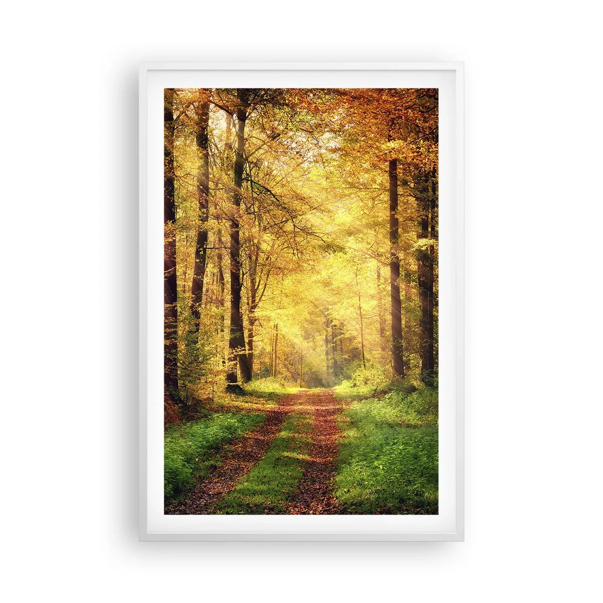Poster in einem weißen Rahmen - Waldgoldene Stille - 61x91 cm