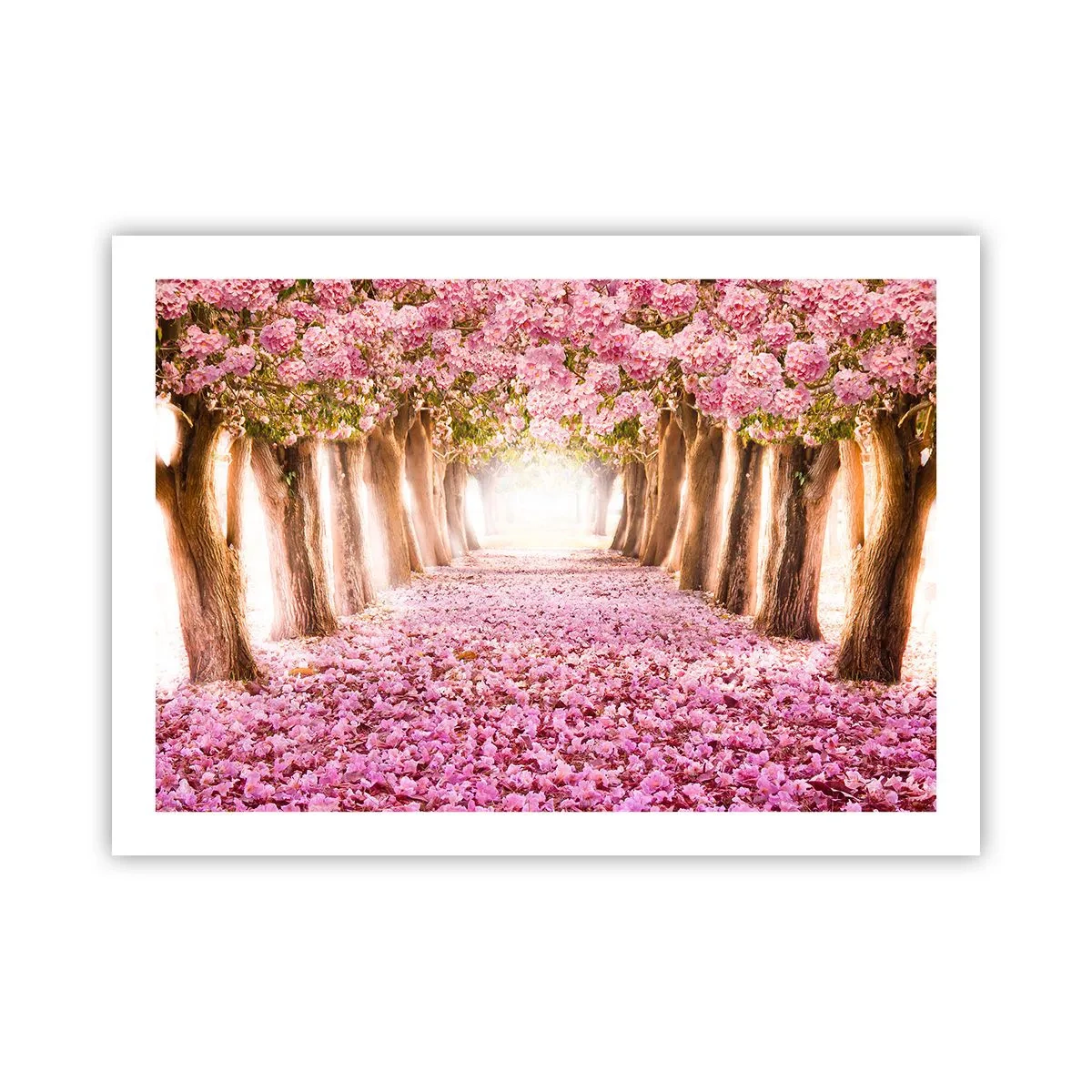 Poster - Der Weg ins Paradies - 70x50 cm