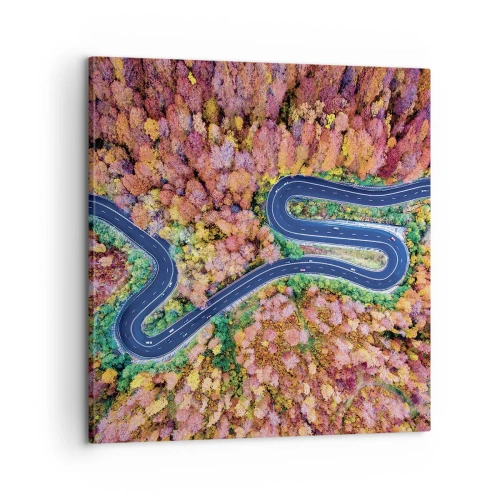 Bild auf Leinwand - Leinwandbild - Kurvenreicher Weg durch den Wald - 60x60 cm
