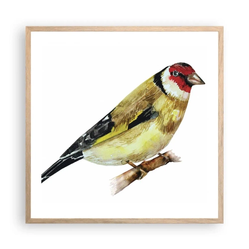 Poster in einem Rahmen aus heller Eiche - Vogelporträt - 60x60 cm