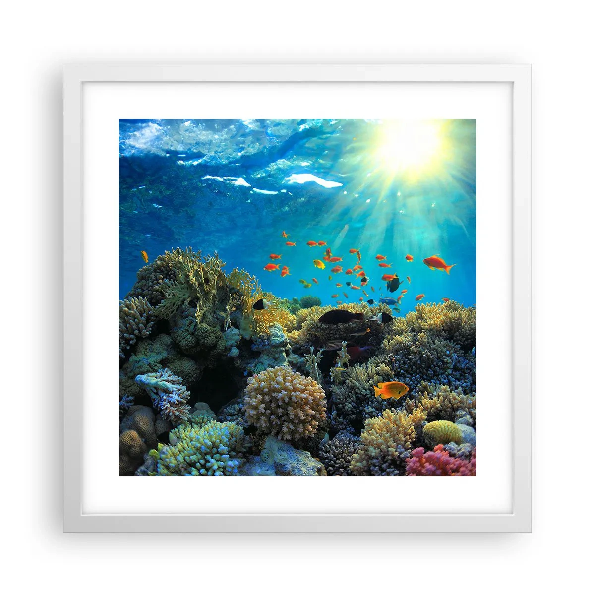 Poster in einem weißen Rahmen - Unterwasserschätze - 40x40 cm