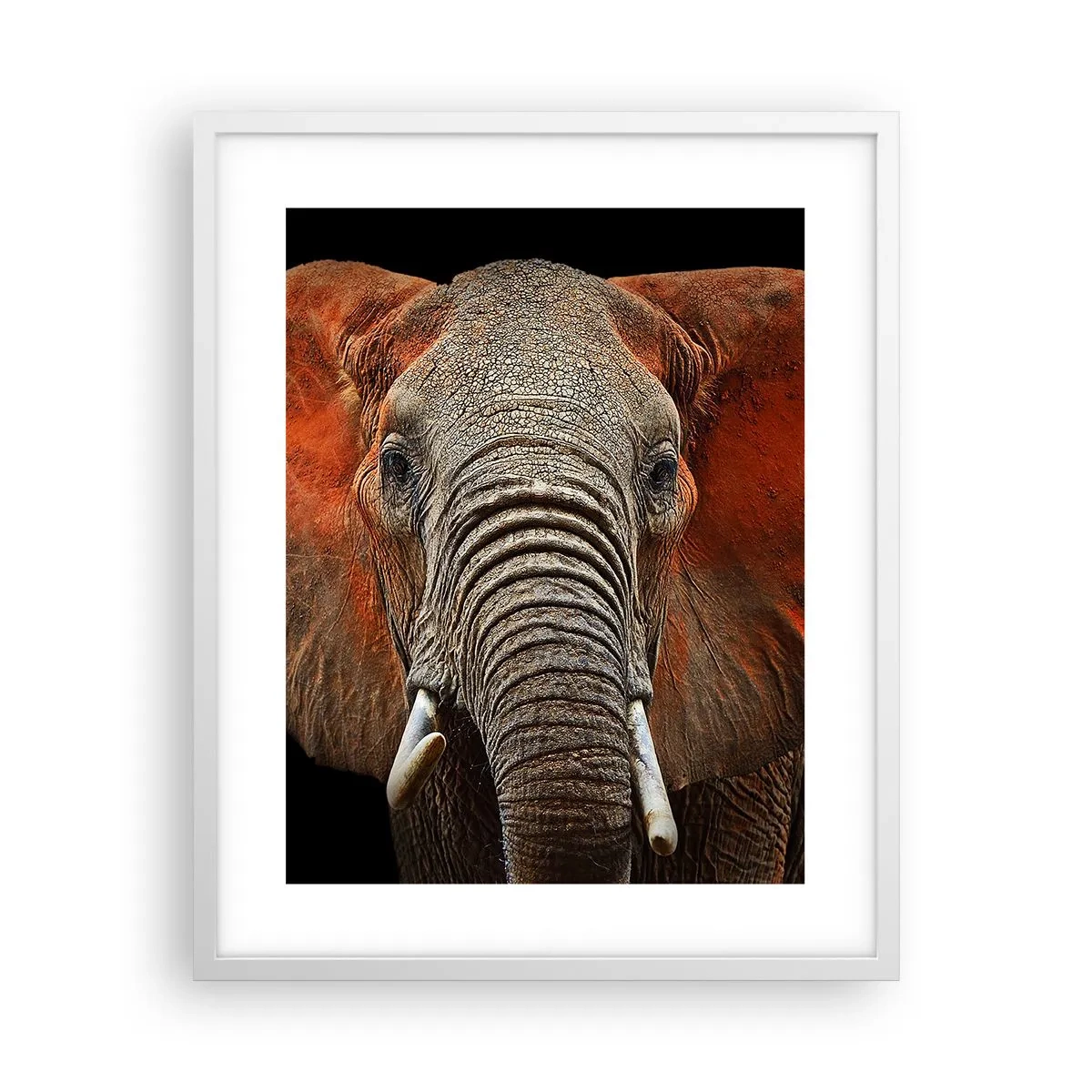 Poster in einem weißen Rahmen - Ich bin wild und du? - 40x50 cm