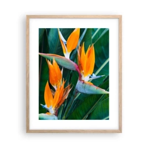 Poster in einem Rahmen aus heller Eiche - Ist es eine Blume oder ist es ein Vogel? - 40x50 cm