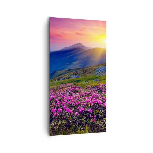 Bild auf Leinwand - Leinwandbild - … Und drumherum duftet es nach Latschenkiefer und dem Duft von Kräutern - 65x120 cm