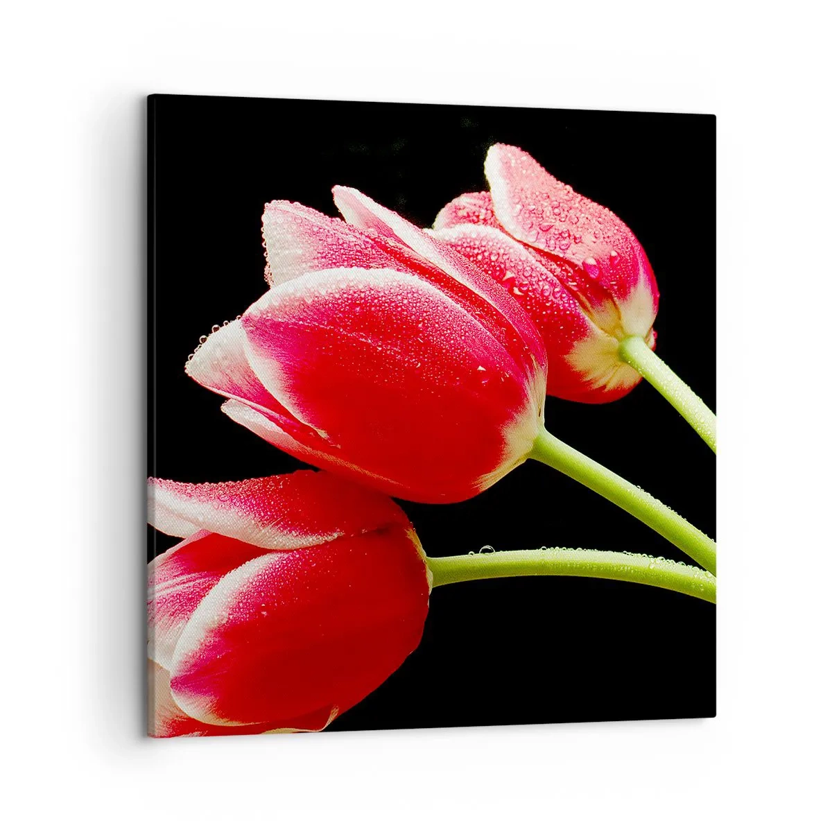 Bild auf Leinwand - Leinwandbild - Ein Versprechen der reinen Liebe - 50x50 cm