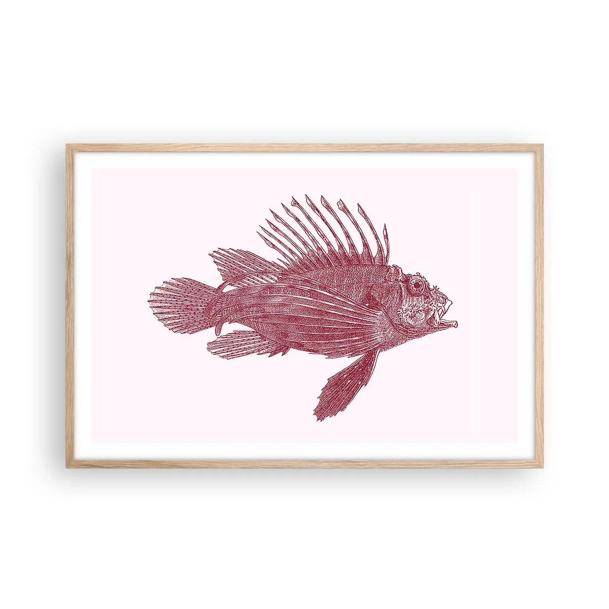 Poster in einem Rahmen aus heller Eiche - Bewohner exotischer Gewässer - 91x61 cm
