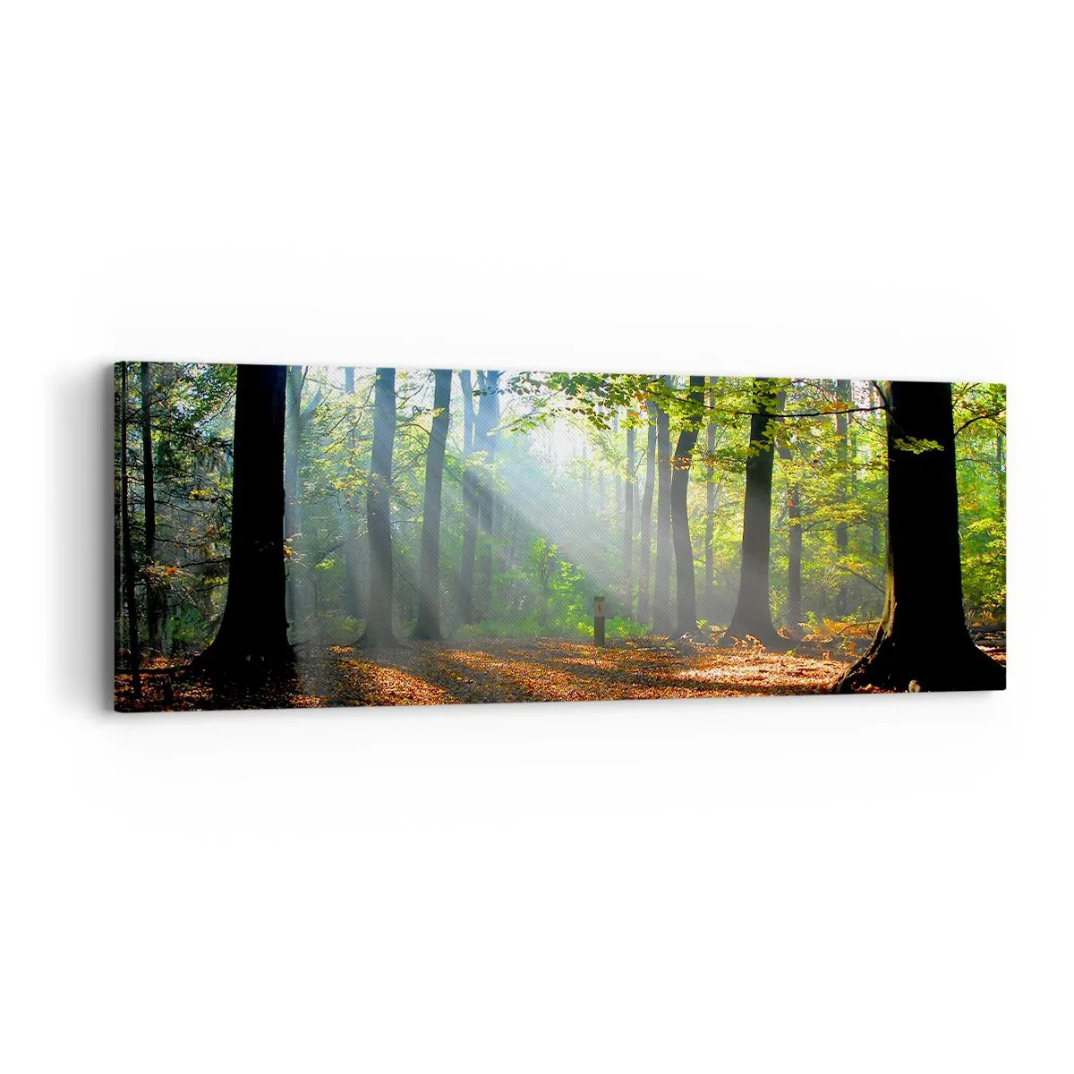 Bild auf Leinwand - Leinwandbild - Licht und Schatten - 90x30 cm