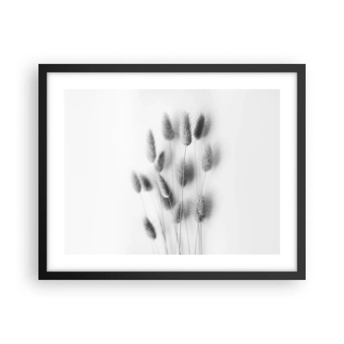 Poster in einem schwarzem Rahmen - Eure flauschige Grashoheit - 50x40 cm